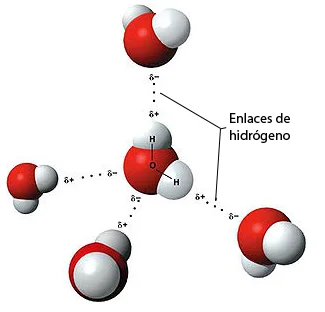 Diferencia entre los enlaces de Van der Waals y los enlaces de hidrógeno