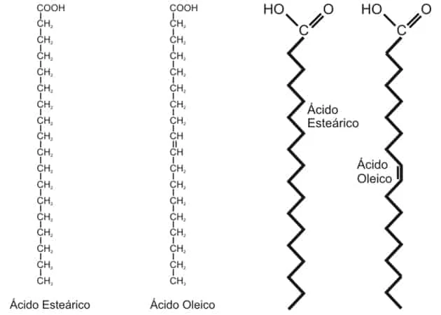 Diferencia entre un ácido graso y un ácido graso libre