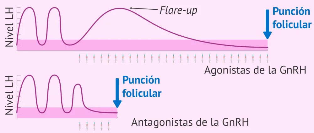 Diferencia entre un agonista y un antagonista de GnRH