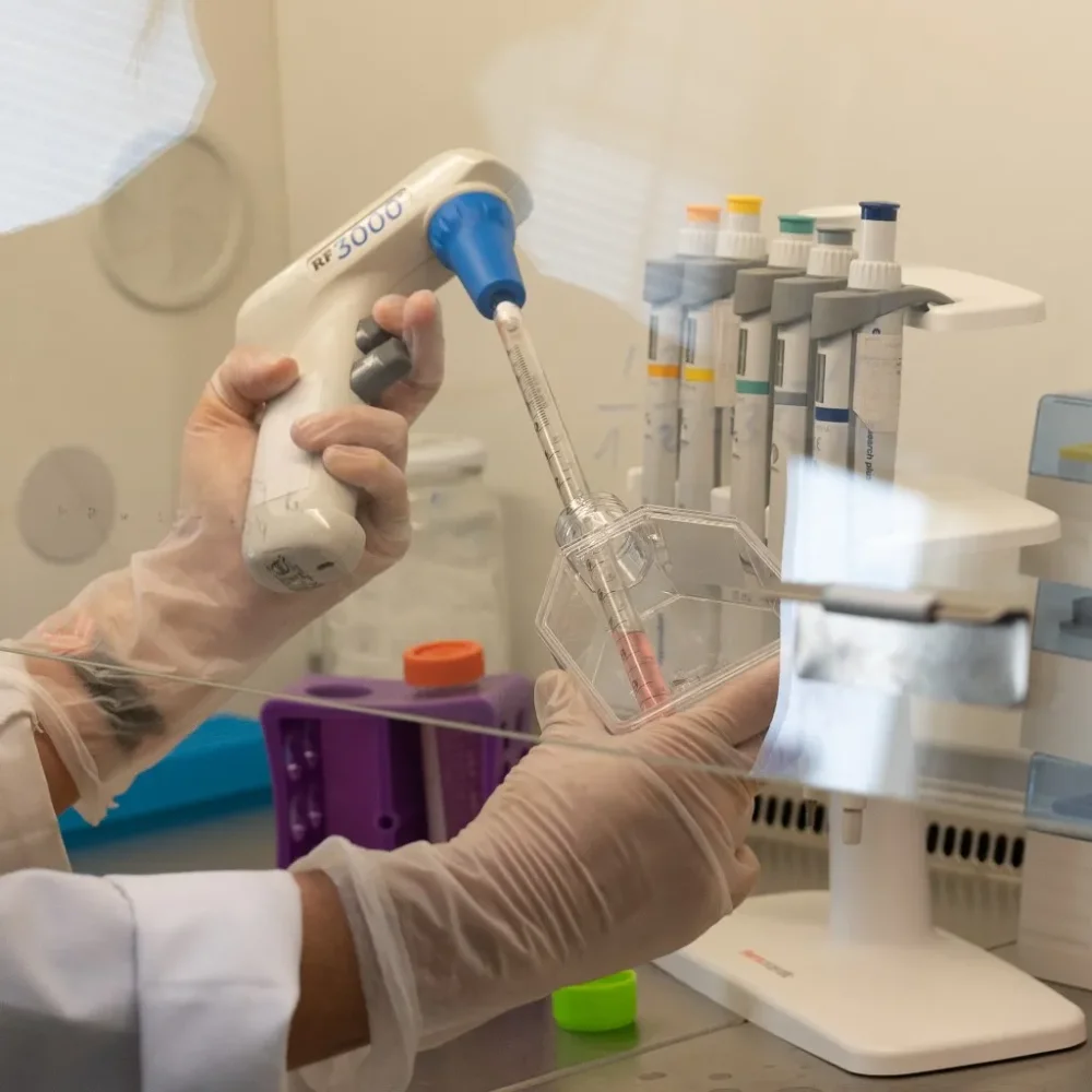 Diferencia entre un bioensayo y un ensayo químico