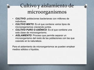 Diferencia entre un cultivo axénico y uno mixto