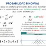 Cómo calcular la probabilidad binomial Ciencia
