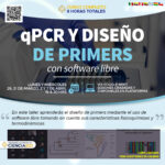 Cómo diseñar cebadores para QPCR Ciencia