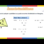 Cómo encontrar el área de cuadriláteros Ciencia