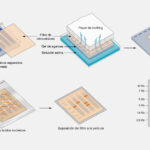 ¿Cómo funciona el Southern Blot?
