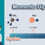 ¿Cómo interactúan entre sí las moléculas polares y no polares?
