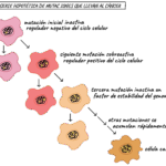 ¿Cómo se desarrollan y propagan las células cancerosas?