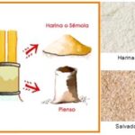 ¿Cómo se hace la harina?