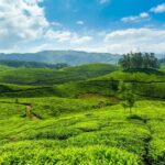 ¿Cuáles son las escapadas de fin de semana desde Bangalore?