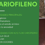 Diferencia entre alfa y beta cariofileno