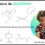 Diferencia entre alilo y vinilo