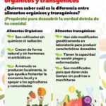 Diferencia entre alimentos naturales y orgánicos