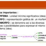 Diferencia entre alófono y alomorfo