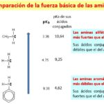 Diferencia entre aminas alifáticas y aromáticas