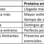 Diferencia entre aminoácidos y ácidos grasos