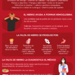 Diferencia entre anemia y deficiencia de hierro