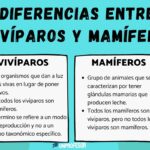 Diferencia entre animal y mamífero