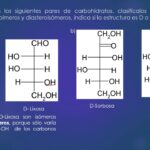 Diferencia entre anómeros y epímeros