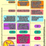 Diferencia entre anticoagulante y antiplaquetario