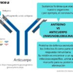 Diferencia entre antígeno y anticuerpo