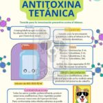 Diferencia entre antitoxina y toxoide
