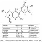 Diferencia entre antocianina y antocianidina