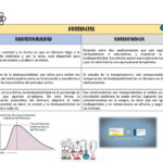 Diferencia entre biodisponibilidad y bioequivalencia