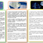 Diferencia entre biología y microbiología