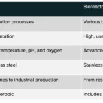Diferencia entre biorreactor y fermentador