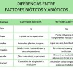 Diferencia entre biótico y abiótico