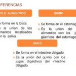 Diferencia entre bolo y quimo