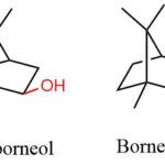 Diferencia entre borneol e isoborneol