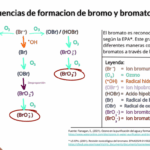 Diferencia entre bromo y agua con bromo