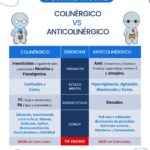 Diferencia entre colinérgico y anticolinérgico