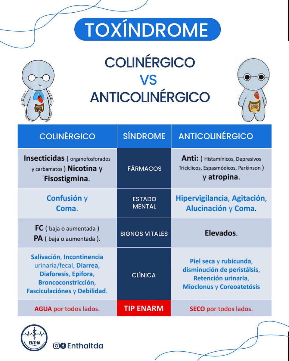 Diferencia entre colinérgico y anticolinérgico