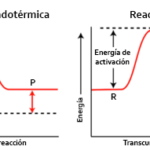 Diferencia entre complejo activado y estado de transición