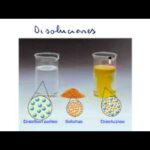 Diferencia entre concentración y densidad