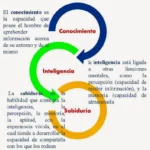 Diferencia entre conocimiento y sabiduría