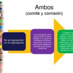 Diferencia entre consejo y comité