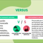 Diferencia entre contaminante y contaminante