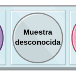 Diferencia entre control positivo y negativo