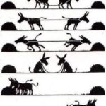 Diferencia entre cooperación y conflicto en sociología