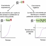 Diferencia entre crecimiento poblacional y cambio poblacional