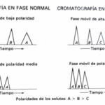 Diferencia entre cromatografía de fase normal y cromatografía de fase inversa