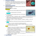 Diferencia entre disentería amebiana y bacilar