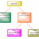Diferencia entre disolventes próticos y apróticos