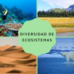 Diferencia entre diversidad de especies y diversidad de ecosistemas