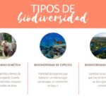 Diferencia entre diversidad genética y diversidad de especies