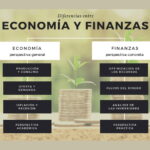 Diferencia entre economía y economía