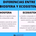 Diferencia entre ecosistema y biodiversidad